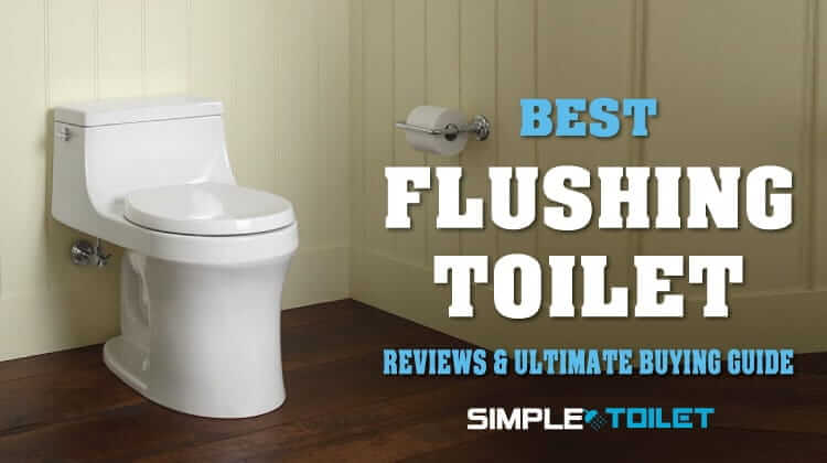 Best Flushing Toilet Reviews