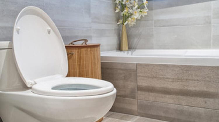 modern bathroom in luxury house with one piece vs two piece toilet