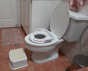 best toddler toilet seat