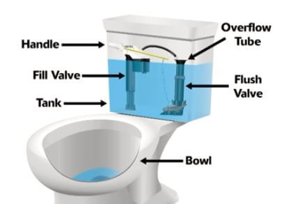 The parts of a toilet