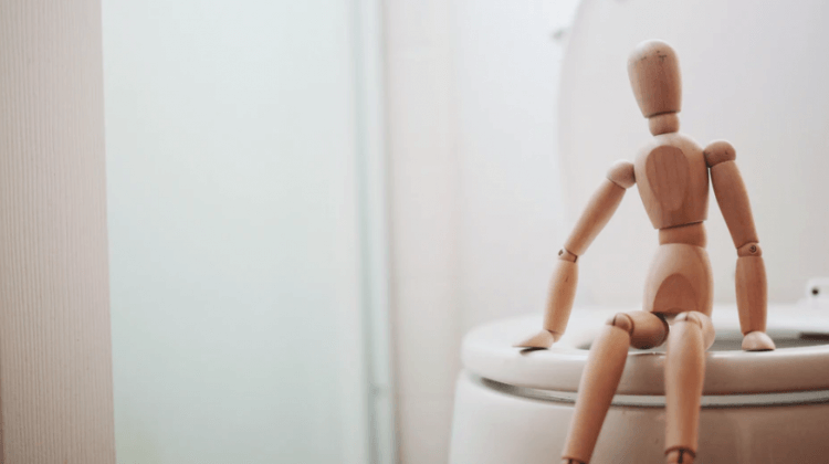 little wooden man perched on toilet seat to talk about best toilet paper for septic system